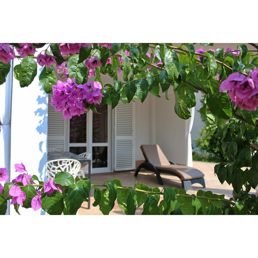 Garden * Krk Town